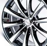 Elektrony RSW RACING 3102 5x98 15"